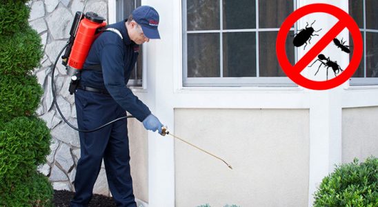 Dilovası Tahtakurusu İlaçlama böcek ilaçlama ve haşere kontrolü — ilaclama-tr.com